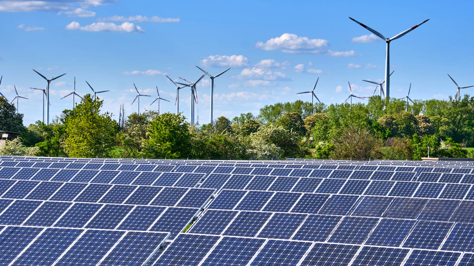 US Green Power Demand Set to Grow Regardless of Election Outcome