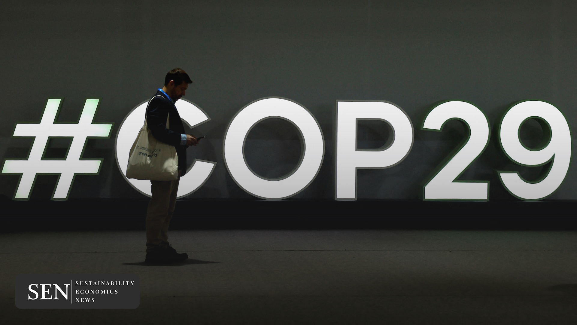 COP29 climate finance agreement