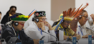 Baku Workplan Indigenous Peoples COP29