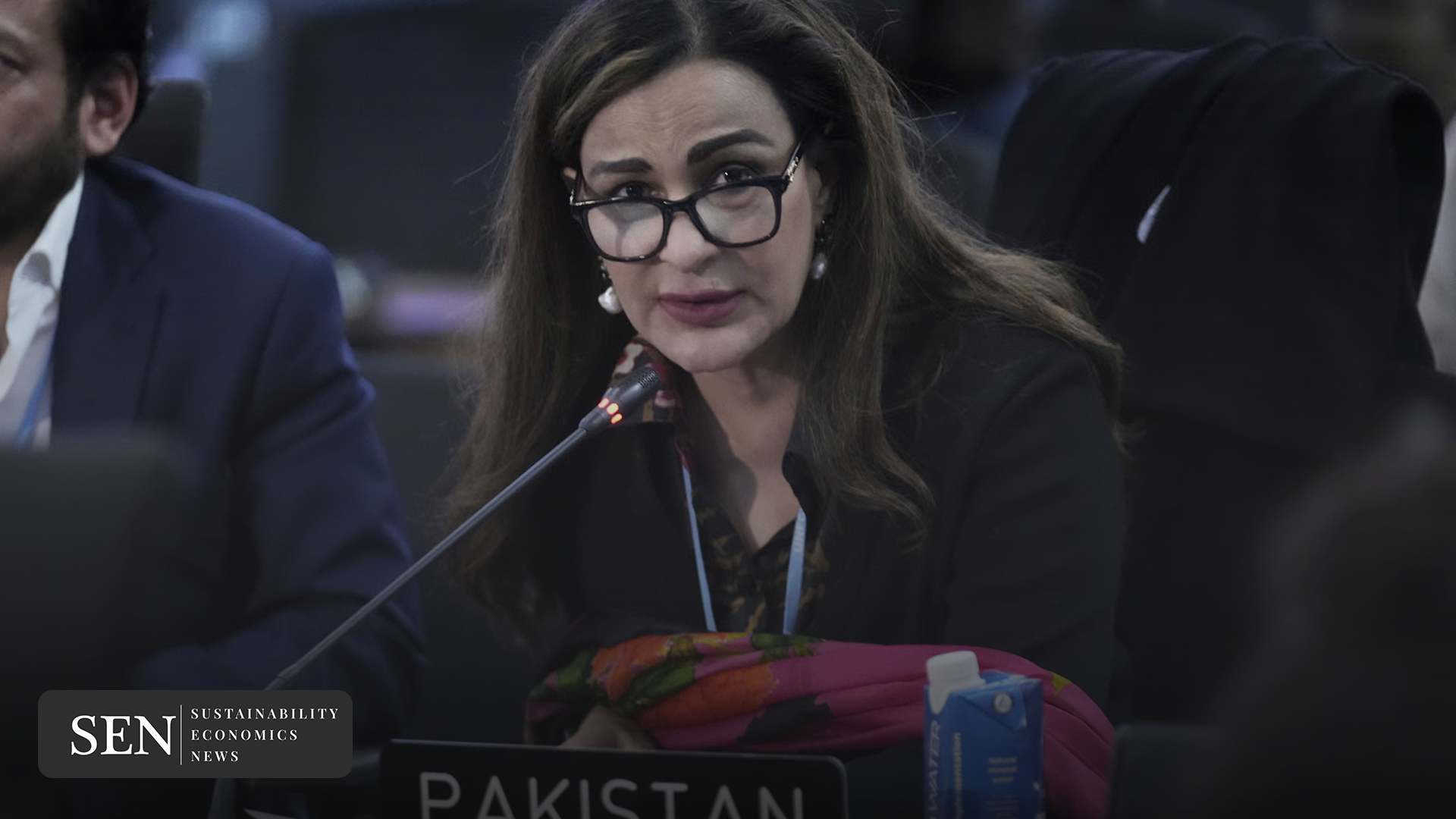 Sherry Rehman climate finance COP29