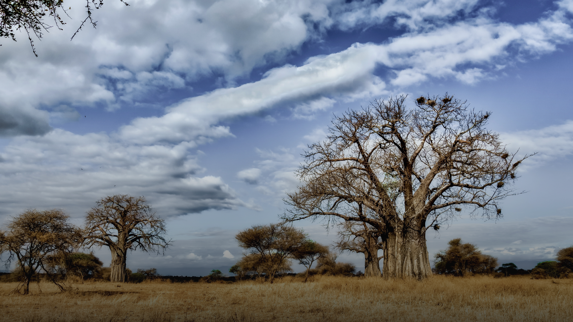 African Development Bank Approves €28 Million for Solar Power Plants in Chad