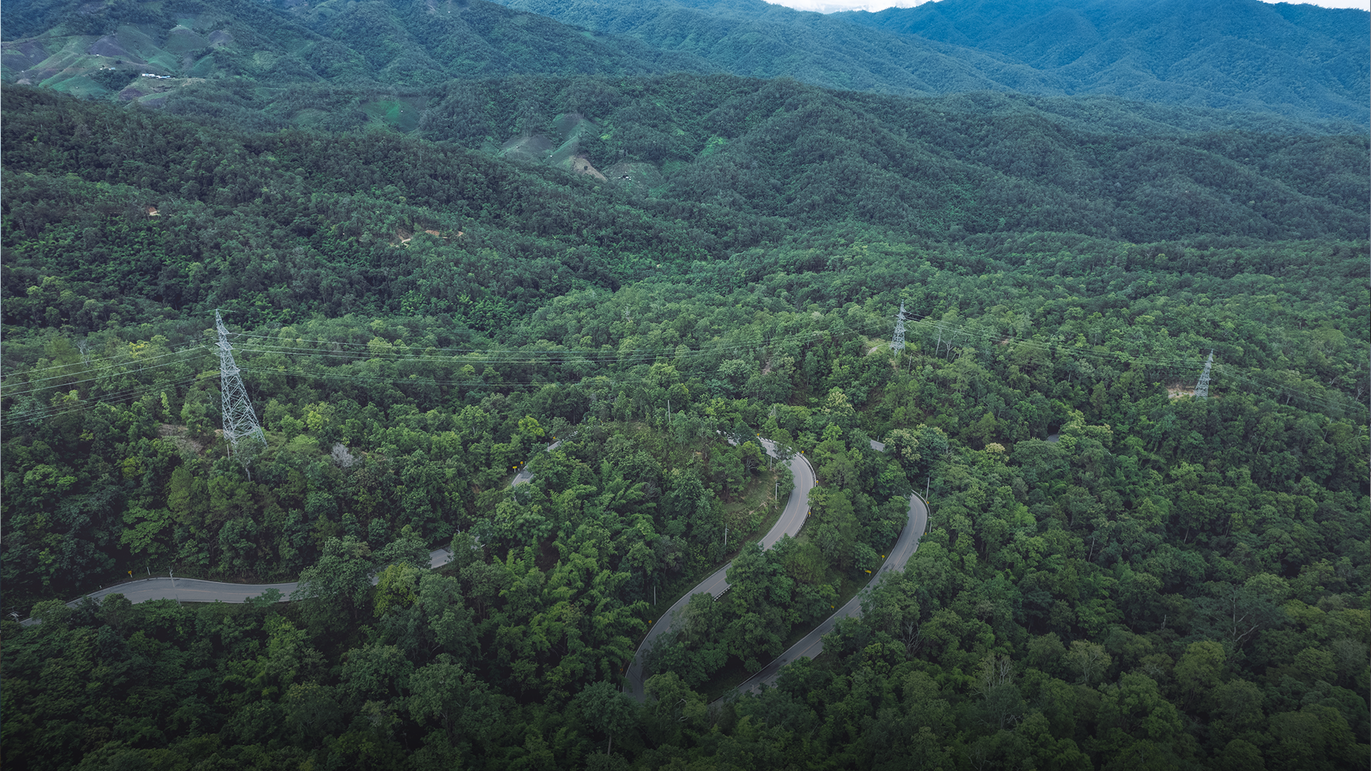 New Research Explores China’s Forestation Potential for Carbon Removal