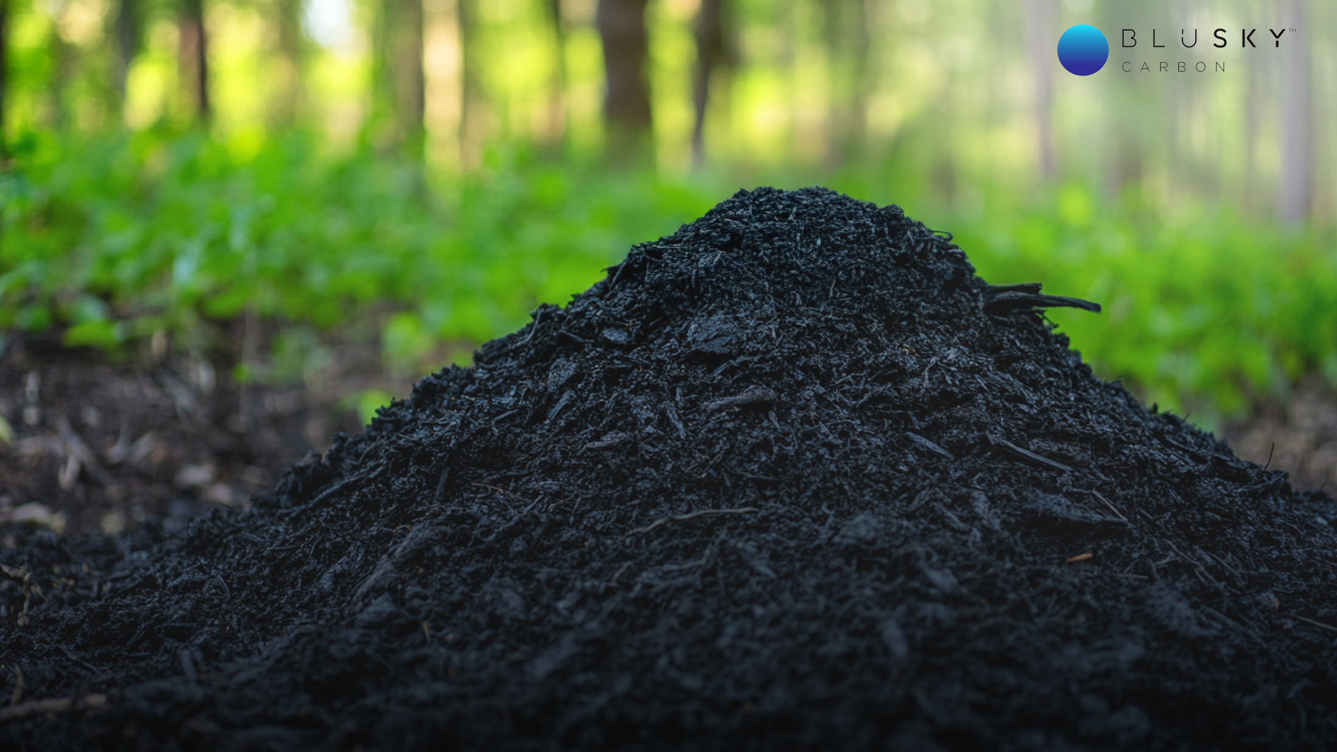 BluSky Carbon Signs Letter of Intent for Biochar Project in Arkansas