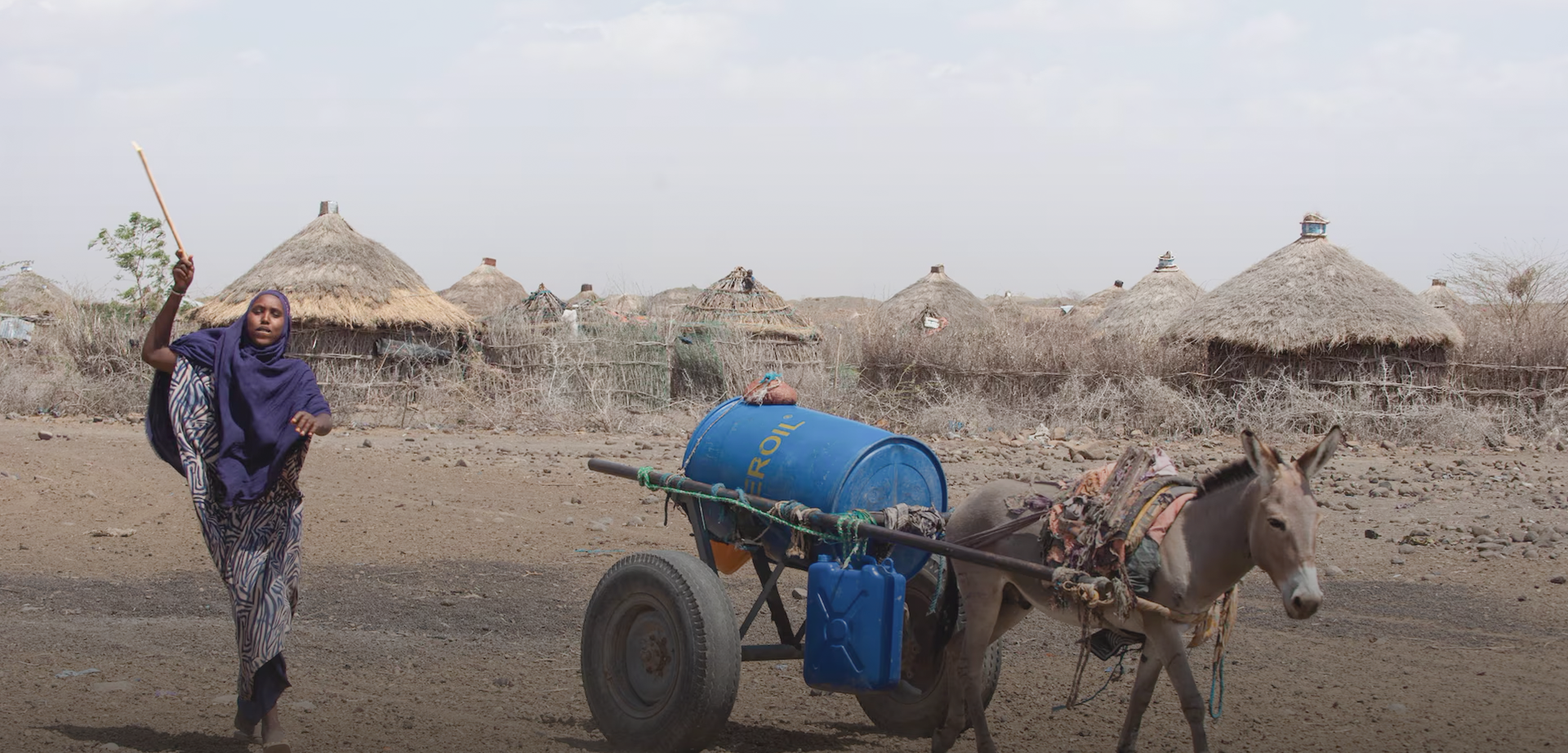 CIF Ethiopia land restoration climate investment