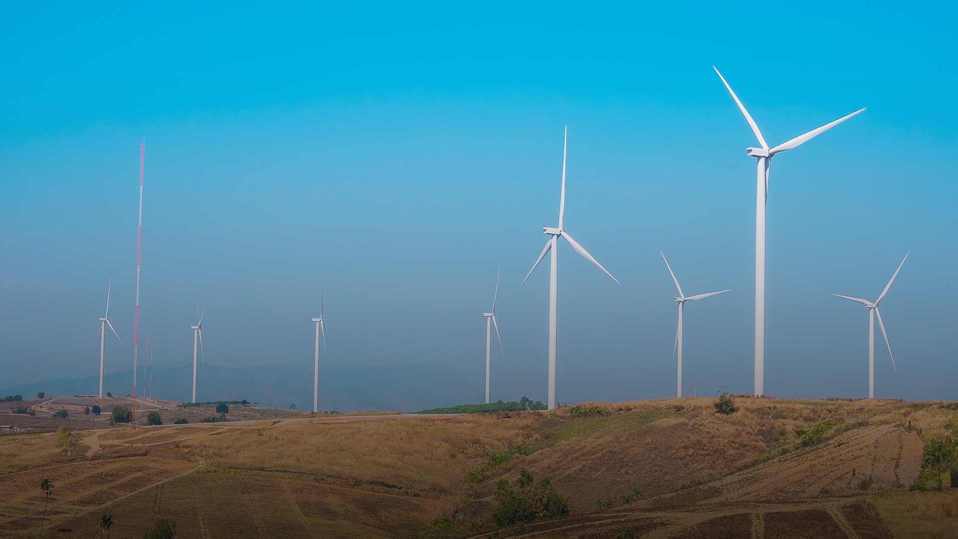 Uzbekistan Launches Largest Wind Farm in Central Asia