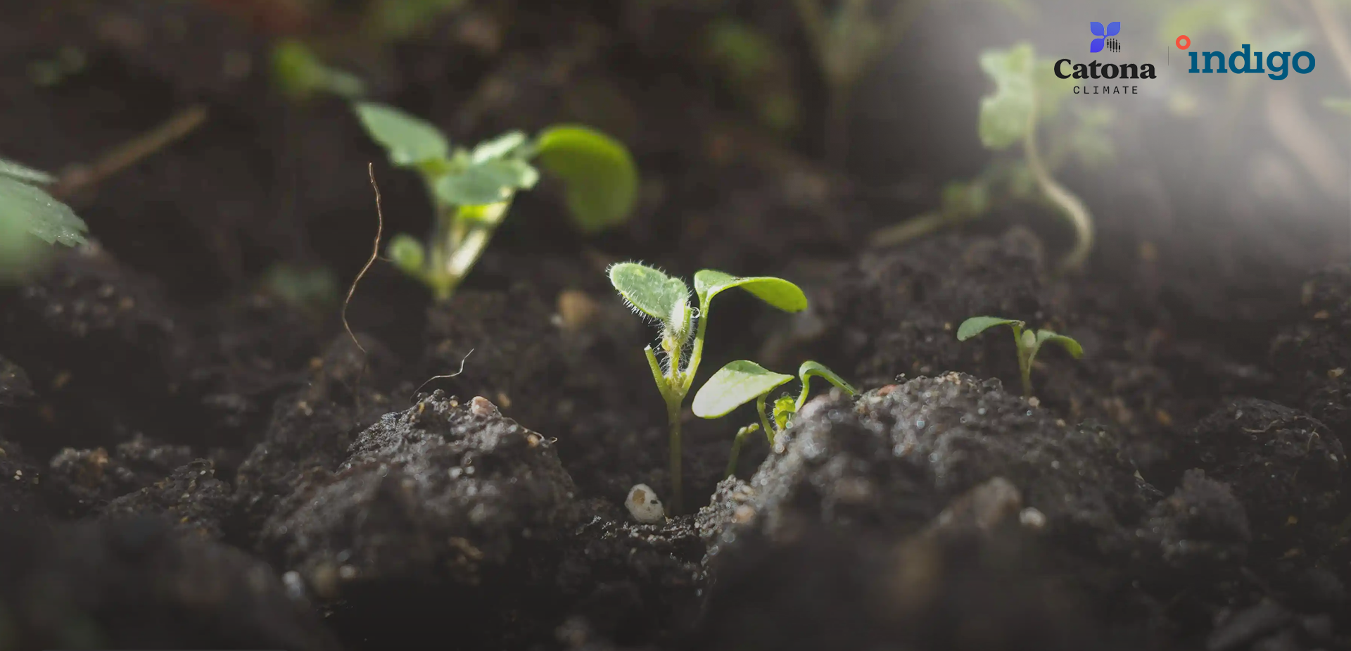 Catona Climate Indigo Ag carbon credits