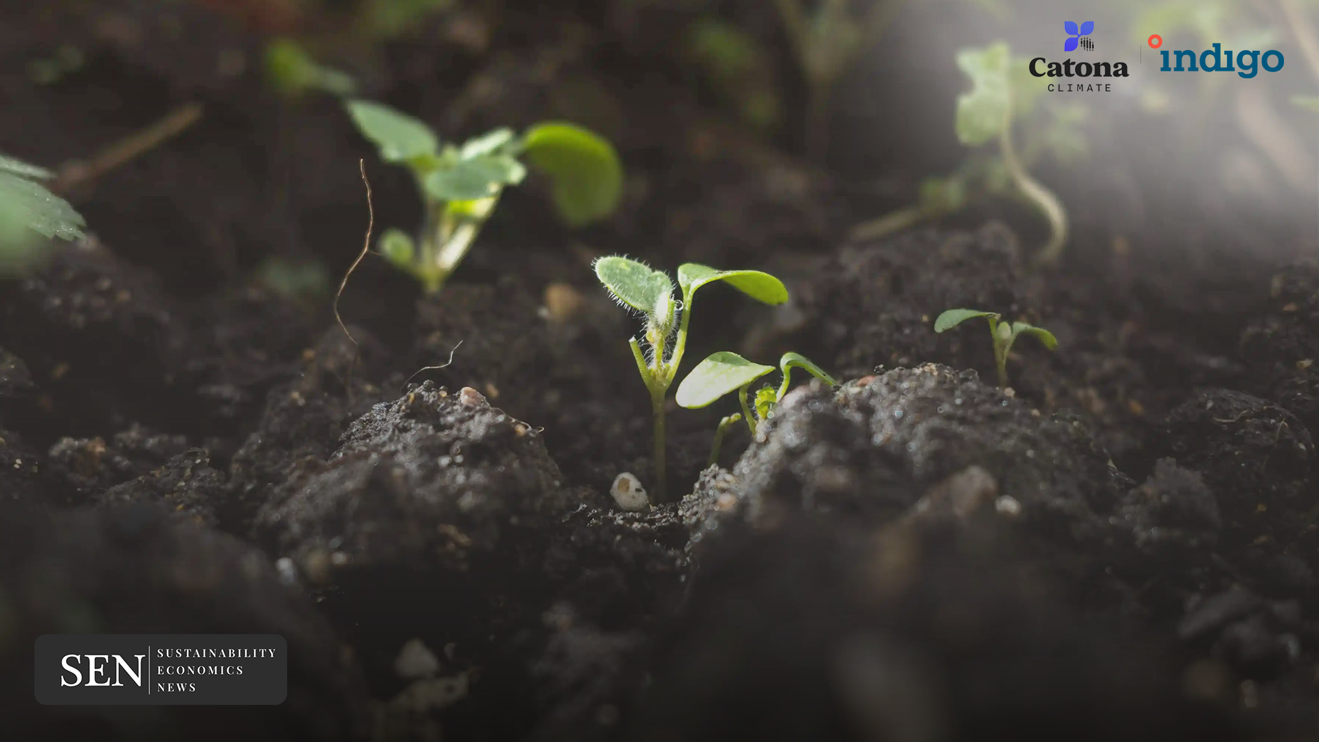 Catona Climate Indigo Ag carbon credits