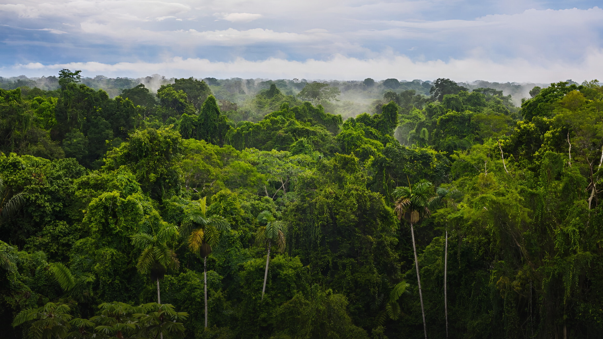 Ecuador Amazon conservation bond buyback