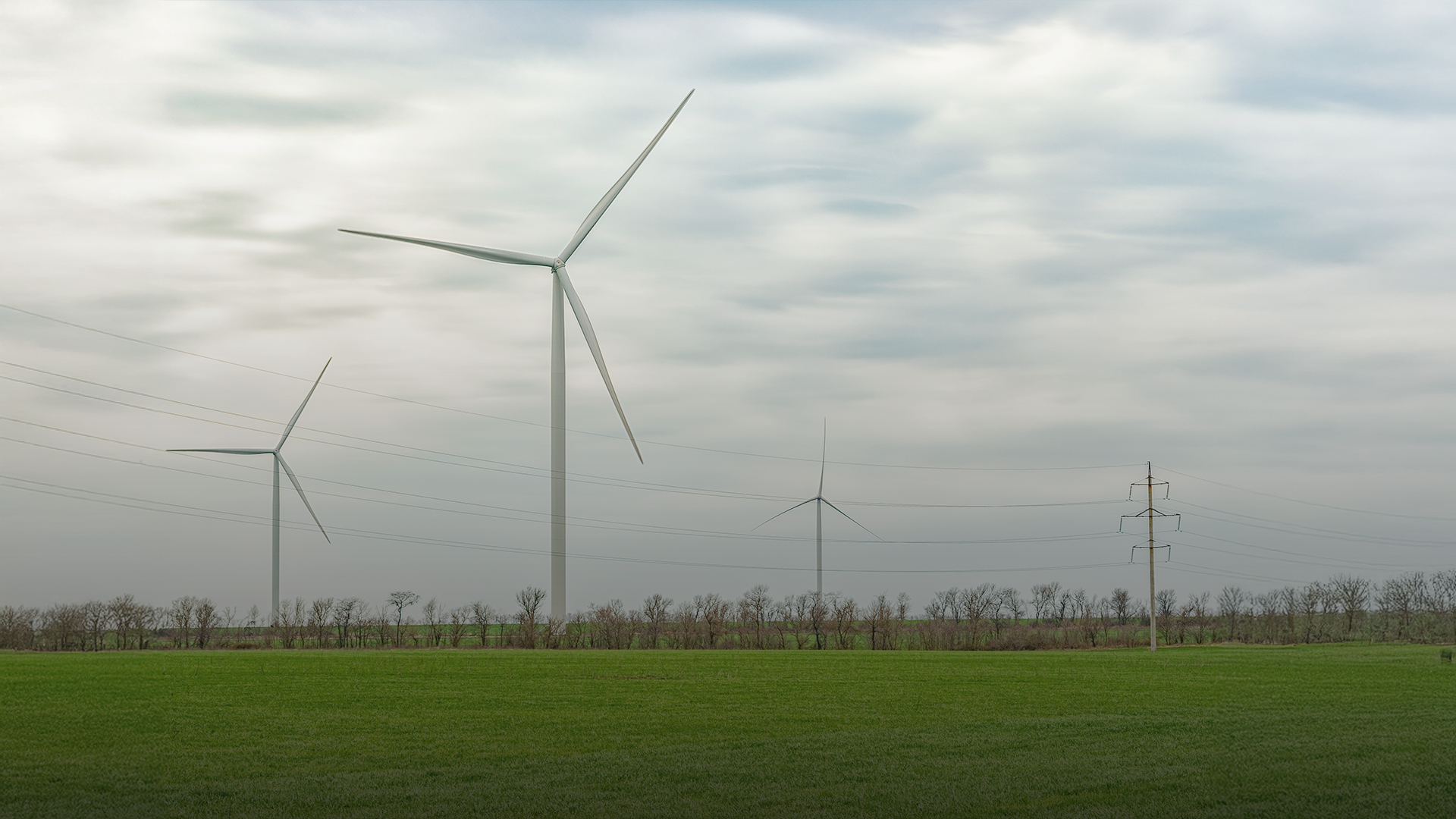 EIB and Societe Generale Unveil €8 Billion Wind Energy Investment Initiative