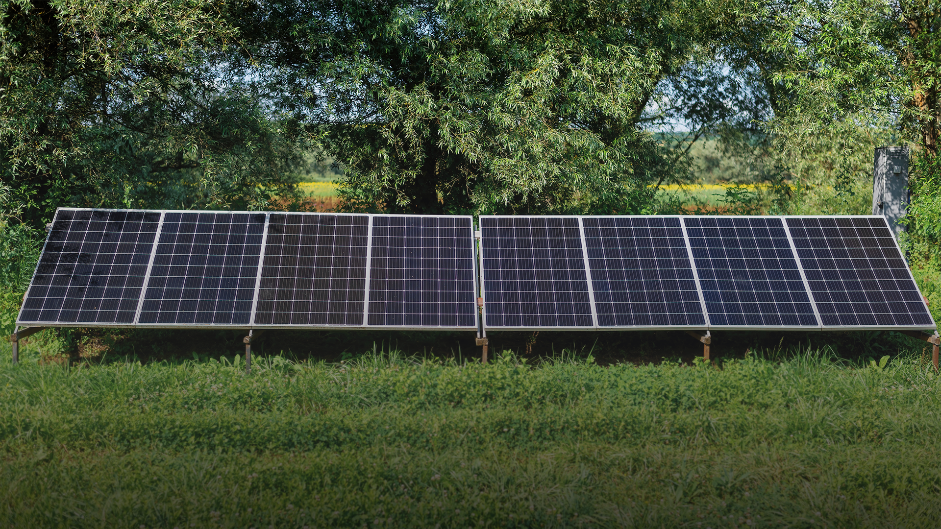 Octopus Energy Expands Solar Portfolio with Acquisition of OX2’s French Unit