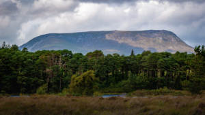 New Forests Raises $375 Million for Australia New Zealand Landscapes and Forestry Fund