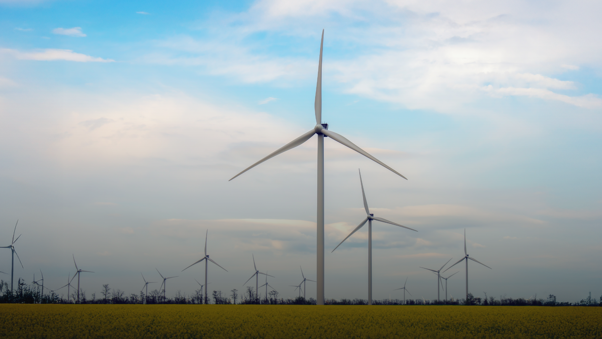 A wind farm against the backdrop of a blue sky.