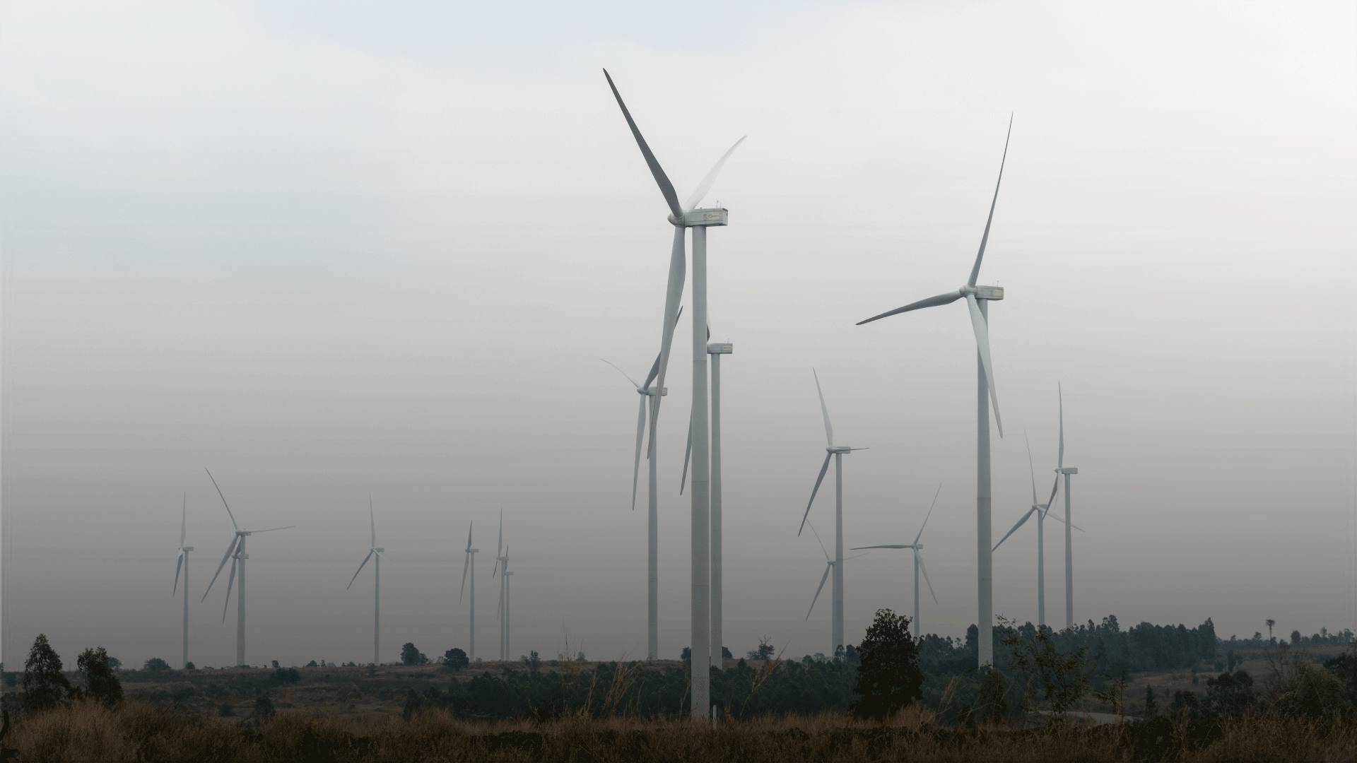 Onshore wind farm image used to represent Orsted's onshore wind farm.